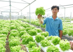 TP.HCM tổ chức Hội thi “Sáng tạo kỹ thuật Nhà nông” lần V năm 2025