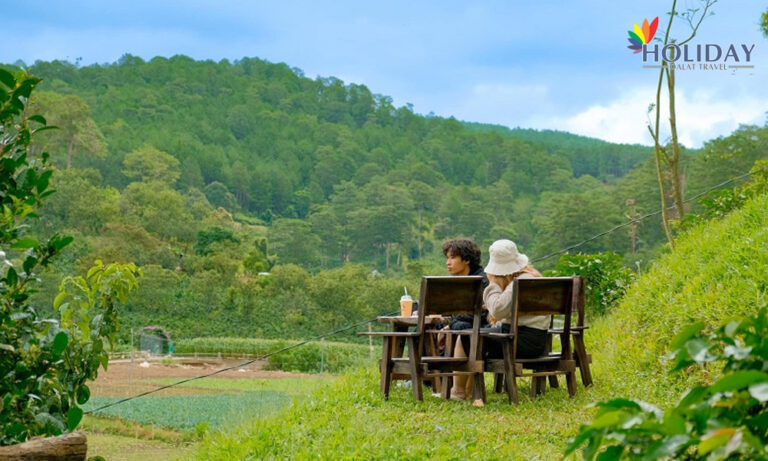 Thôn Lũng Kẻng: điểm cắm trại “chill” giữa lòng Đà Lạt