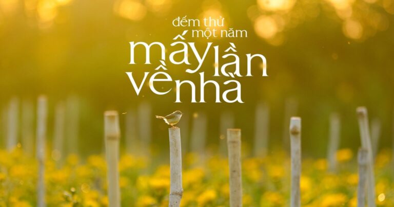 Đếm thử một năm mấy lần về nhà