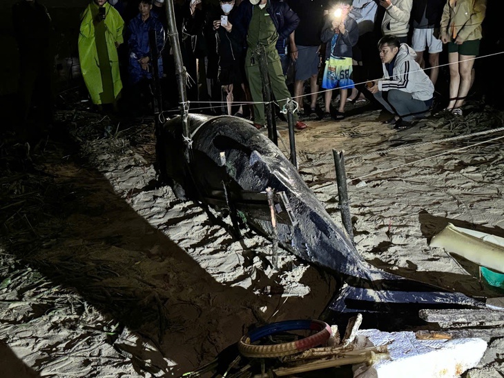 Đà Nẵng - Ảnh 2.