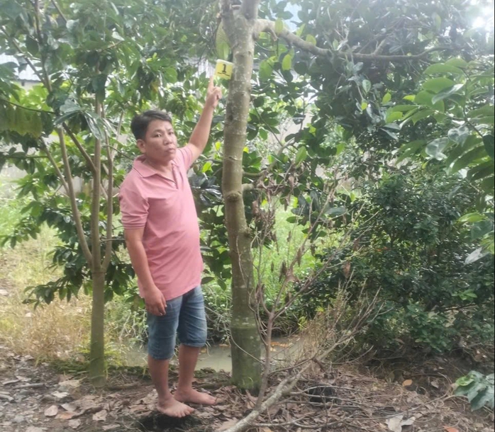 Đồng Tháp: Khởi tố đối tượng trộm 2 trái mít - Ảnh 1.