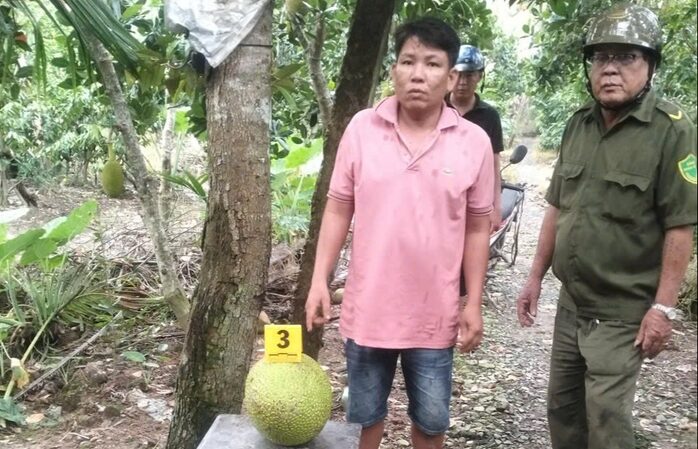 Đồng Tháp: Khởi tố đối tượng trộm 2 trái mít Thái