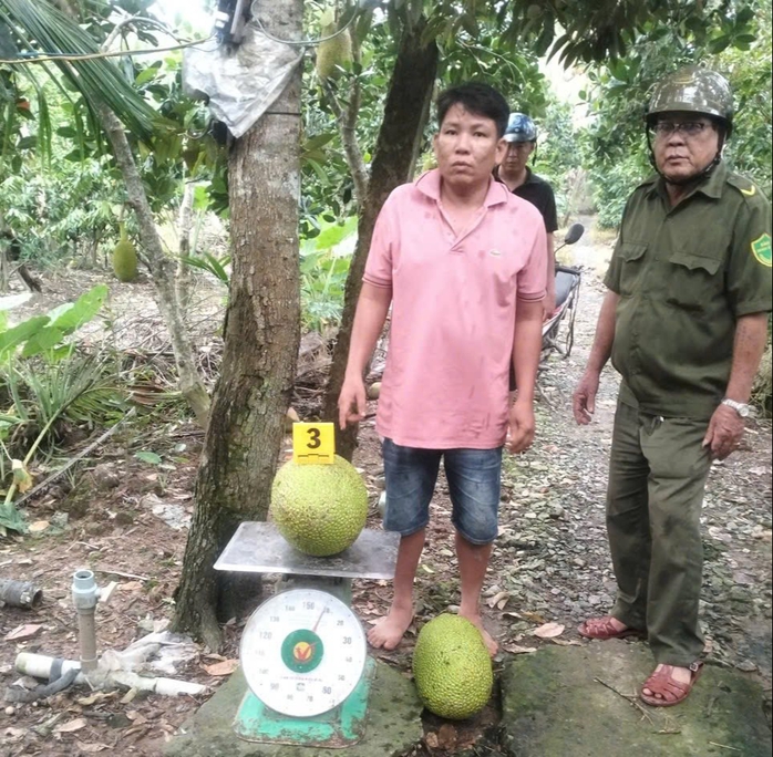 Đồng Tháp: Khởi tố đối tượng trộm 2 trái mít - Ảnh 2.