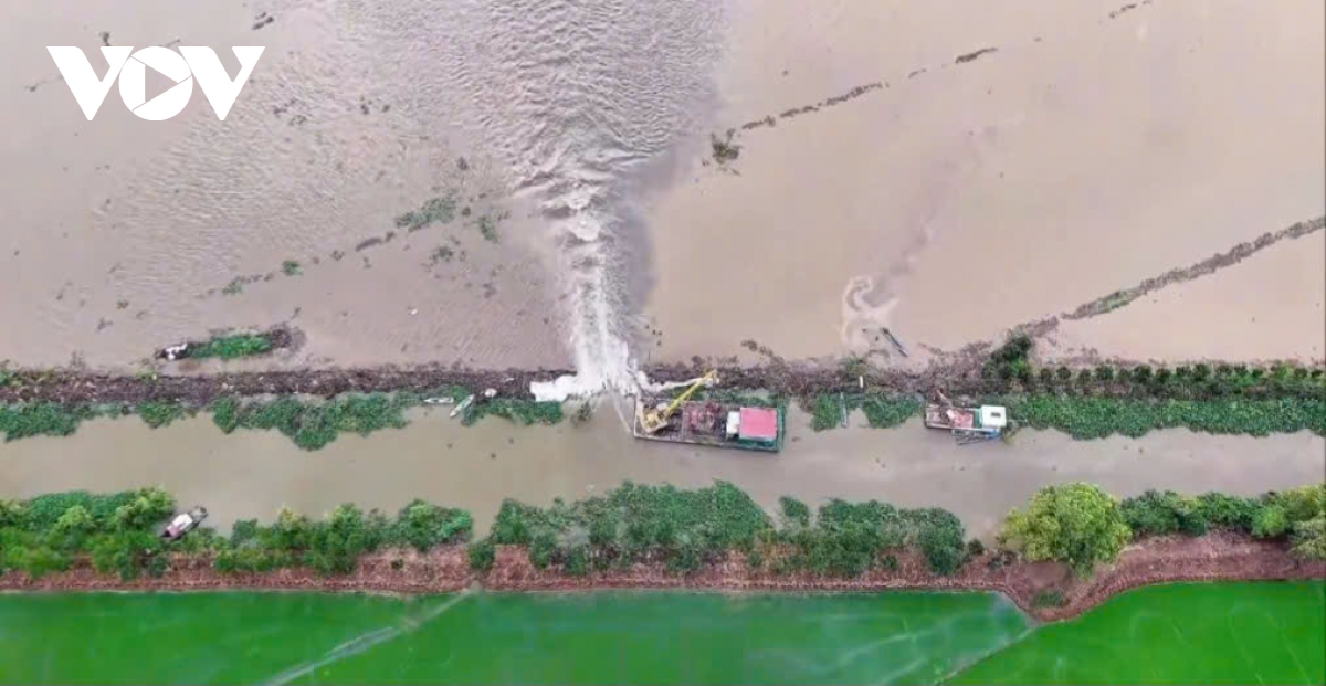 vỡ đê ở Đồng tháp, hàng trăm ha lúa chìm trong biển nước hình ảnh 3 vo de o Dong thap, hang tram ha lua chim trong bien nuoc hinh anh 3