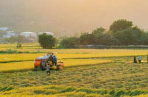 Lâu lâu về lại quê, mình chợt nhận ra người quen dần dần đã vắng đi nhiều