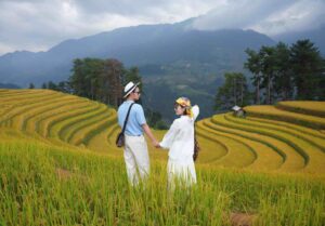 Mù Cang Chải rực vàng mùa lúa chín