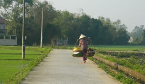 Thương lắm gánh rau của má