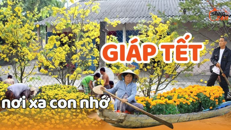 Nôn nao Giáp Tết ở quê, mộc mạc thôi mà nhớ hoài không hết
