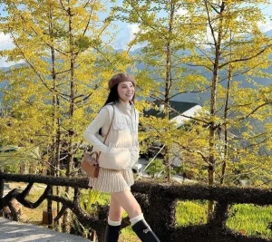 Sa Pa vào mùa ngân hạnh vàng, điểm hẹn check-in cuối năm